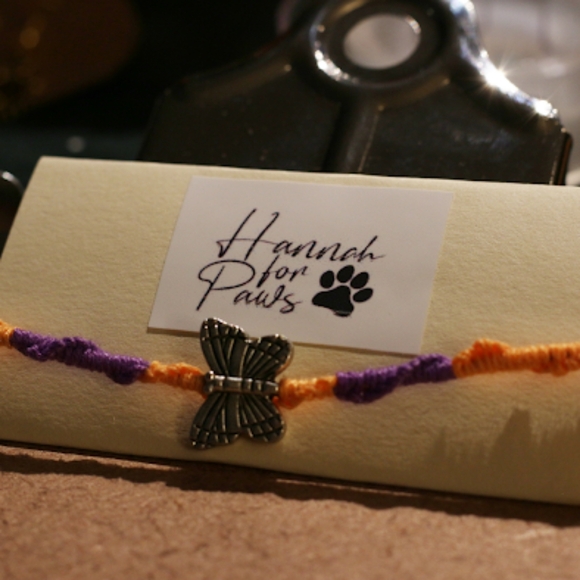 Meet your Posher, Hannah for Paws - Picture 11 of 16